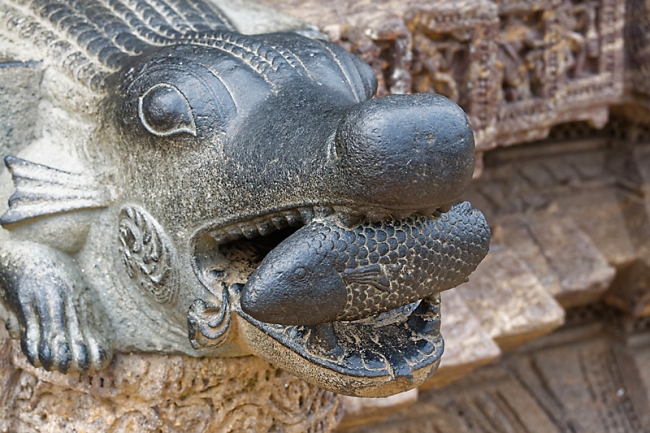 Konarak-Temple du soleil-101